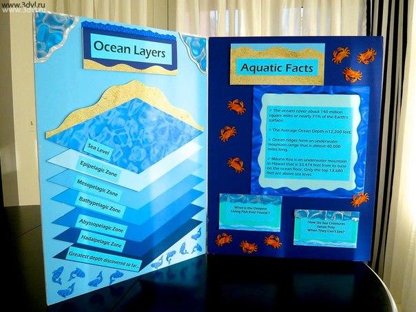 3D illusion films. Back to school time. Here's a fun project idea! Use 3DVL to accent your school projects as seen here in this aquatic science fair display about ocean facts!