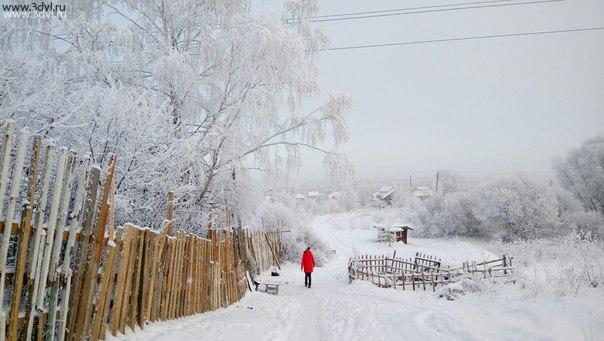 Так прошел сегодня день, гулял по парку и наслождался увиденным, красота. #красота #парк #зима